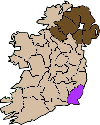 County Wexford Flag